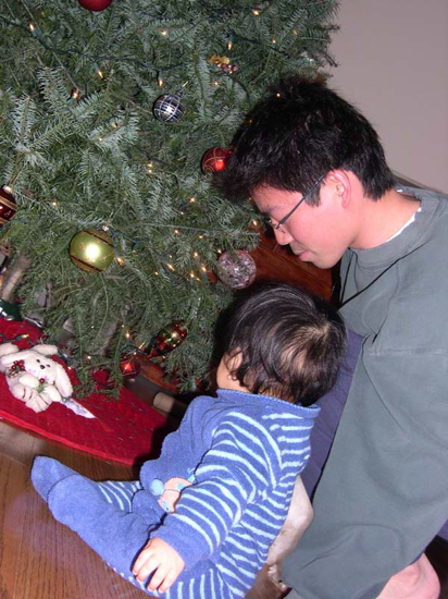 daddy shows noah his first christmas tree